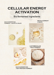 SQT Anti-Aging Homecare Set
