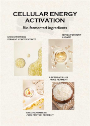 SQT Anti-Aging Homecare Set