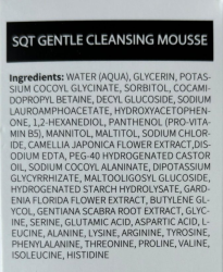 SQT Gentle Cleansing Mousse, 150 ml